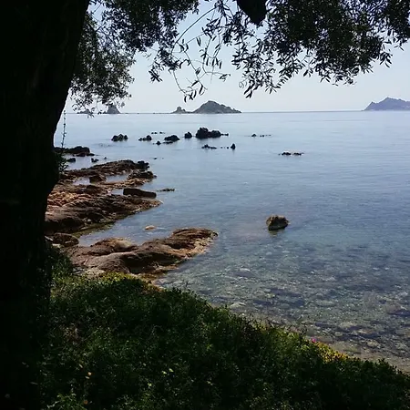 Montecool * באוני