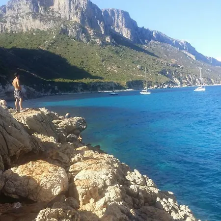 Montecool באוני