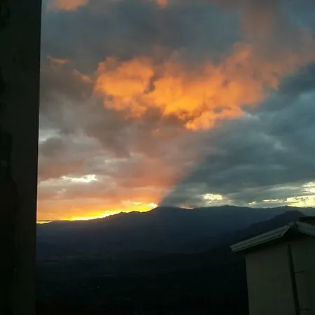 Montecool *